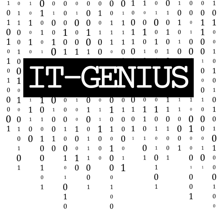 IT-genius mok